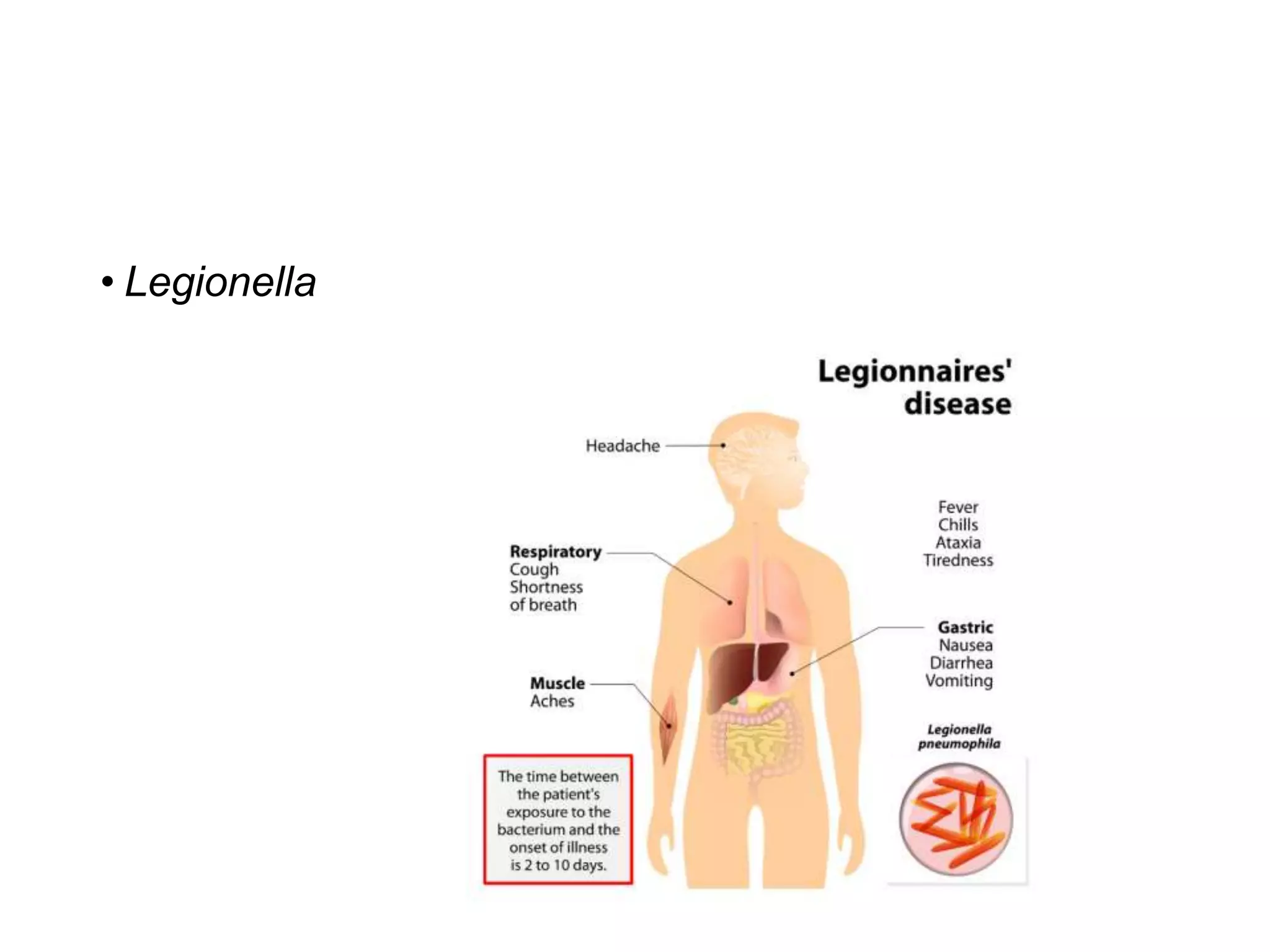 • Legionella
 