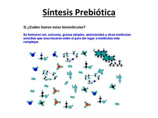 Síntesis Prebiótica
 