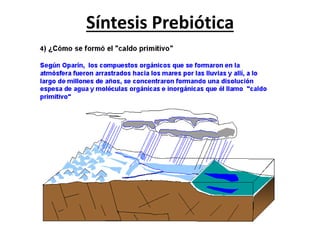 Síntesis Prebiótica
 