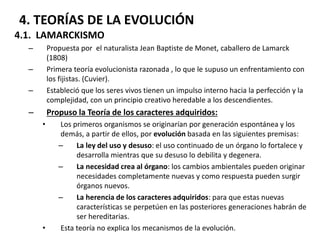 4. TEORÍAS DE LA EVOLUCIÓN
4.1. LAMARCKISMO
– Propuesta por el naturalista Jean Baptiste de Monet, caballero de Lamarck
(1808)
– Primera teoría evolucionista razonada , lo que le supuso un enfrentamiento con
los fijistas. (Cuvier).
– Estableció que los seres vivos tienen un impulso interno hacia la perfección y la
complejidad, con un principio creativo heredable a los descendientes.
– Propuso la Teoría de los caracteres adquiridos:
• Los primeros organismos se originarían por generación espontánea y los
demás, a partir de ellos, por evolución basada en las siguientes premisas:
– La ley del uso y desuso: el uso continuado de un órgano lo fortalece y
desarrolla mientras que su desuso lo debilita y degenera.
– La necesidad crea al órgano: los cambios ambientales pueden originar
necesidades completamente nuevas y como respuesta pueden surgir
órganos nuevos.
– La herencia de los caracteres adquiridos: para que estas nuevas
características se perpetúen en las posteriores generaciones habrán de
ser hereditarias.
• Esta teoría no explica los mecanismos de la evolución.
 