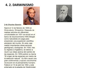 4. 2. DARWINISMO
 