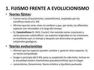 1. FIJISMO FRENTE A EVOLUCIONISMO
• Teorías fijistas:
– Fueron varias (Creacionismo, catastrofismo), aceptadas por los
científicos hasta el S. XIX
– Afirman que los seres vivos no cambian y que, por tanto, las diferentes
especies son inmutables a lo largo del tiempo.
– Ej: Catastrofismo (S. XVIII. Cuvier): Han existido varias creaciones y
varios procesos catastróficos. Las especies originadas en las creaciones
se mantienen por un tiempo y después son destruidas en grandes
catástrofes geológicas.
• Teorías evolucionistas
– Afirman que las especies pueden cambiar y generar otras especies. Es
un hecho comprobado
– Surgen a principio del S.XIX, pero su aceptación ha sido lenta. Incluso en
la actualidad existen movimientos pseudocientíficos que la niegan
– Lamarckismo, Darwinismo, Teoría sintética y Equilibrio puntuado
 
