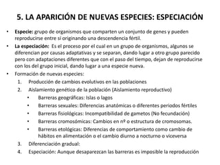 5. LA APARICIÓN DE NUEVAS ESPECIES: ESPECIACIÓN
• Especie: grupo de organismos que comparten un conjunto de genes y pueden
reproducirse entre sí originando una descendencia fértil.
• La especiación: Es el proceso por el cual en un grupo de organismos, algunos se
diferencian por causas adaptativas y se separan, dando lugar a otro grupo parecido
pero con adaptaciones diferentes que con el paso del tiempo, dejan de reproducirse
con los del grupo inicial, dando lugar a una especie nueva.
• Formación de nuevas especies:
1. Producción de cambios evolutivos en las poblaciones
2. Aislamiento genético de la población (Aislamiento reproductivo)
• Barreras geográficas: Islas o lagos
• Barreras sexuales: Diferencias anatómicas o diferentes periodos fértiles
• Barreras fisiológicas: Incompatibilidad de gametos (No fecundación)
• Barreras cromosómicas: Cambios en nº o estructura de cromosomas.
• Barreras etológicas: Diferencias de comportamiento como cambio de
hábitos en alimentación o el cambio diurno a nocturno o viceversa
3. Diferenciación gradual:
4. Especiación: Aunque desaparezcan las barreras es imposible la reproducción
 