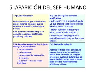 6. APARICIÓN DEL SER HUMANO
 