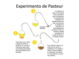 Experimento de Pasteur
 