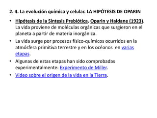 2. 4. La evolución química y celular. LA HIPÓTESIS DE OPARIN
• Hipótesis de la Síntesis Prebiótica. Oparin y Haldane (1923).
La vida proviene de moléculas orgánicas que surgieron en el
planeta a partir de materia inorgánica.
• La vida surge por procesos físico-químicos ocurridos en la
atmósfera primitiva terrestre y en los océanos en varias
etapas.
• Algunas de estas etapas han sido comprobadas
experimentalmente: Experimento de Miller.
• Video sobre el origen de la vida en la Tierra.
 