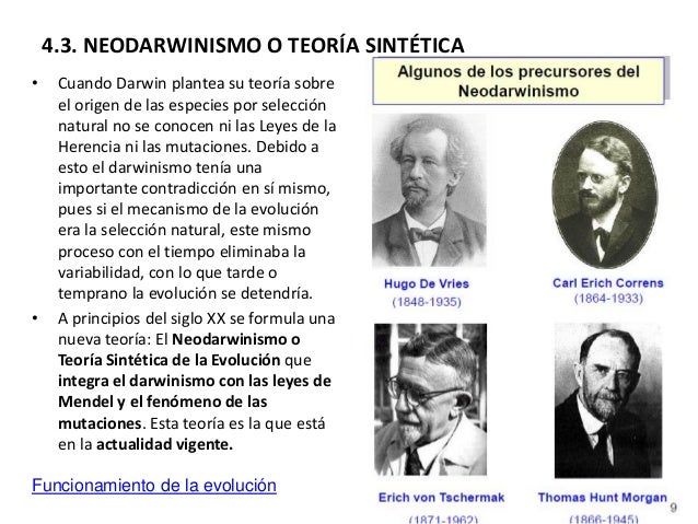 Teoría Sintética de la Evolución: Descubre al Autor_teorias Teoria sintetica de la evolucion autor_teorias