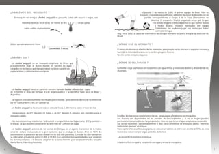 ...el pasado 8 de marzo de 2000, el primer equipo de River Plate se
trasladó a Colombia para enfrentar a Atlético Nacional de Medellín, en un
partido correspondiente al Grupo 4 de la Copa Libertadores de
América. El encuentro finalizó empatado en un gol. Lo que
no señaló ninguna crónica deportiva es que Dumar Rueda
y Pedro Álvarez, titulares habituales del equipo
Colombiano, no pudieron jugar esa noche por haber
contraído Dengue.
Hoy, en el 2002, a causa de enfermarse de Dengue Romario no podrá integrar la Selección de
Brasil.
¿ DÓNDE VIVE EL MOSQUITO ?
El mosquito descansa adentro de las viviendas, por ejemplo en los placares o espacios oscuros y
fuera de la vivienda descansa en la sombra y lugares frescos.
No vive en los arroyos o lagunas.
¿ DÓNDE SE MULTIPLICA ?
La hembra deja sus huevos en recipientes con agua limpia y estancada dentro y alrededor de las
viviendas.
En ellos los huevos se convierten en larvas, luego pupas y finalmente en mosquitos.
Los huevos son depositados en las paredes de los recipientes y si no se mojan pueden
permanecer conservados por largos períodos. Una vez que tocan el agua empieza su desarrollo.
Las larvas necesitan aproximadamente 5 días para convertirse en mosquito adulto, mientras
tanto están “presas” en el agua.
Para capturarlas se utiliza una pipeta, se colocan en tubitos de vidrio con alcohol al 70%, de esta
manera se conservan por largos periodos de tiempo.
Las larvas NO transmiten el Dengue.
Criadero o foco es igual a: recipiente con agua y larvas de mosquitos.
¿ HABLEMOS DEL MOSQUITO ?
El mosquito del dengue (Aedes aegypti) es pequeño, color café oscuro o negro, con
manchas blancas en el tórax en forma de lira , y en las patas
como anillos segmentarios
Miden aproximadamente 5mm.
¿ SABÍAS QUE ?
...el Aedes aegypti es un mosquito originario de África que
probablemente llegó al Nuevo Mundo en barriles de agua
cargados en los barcos que transportaban esclavos durante las
exploraciones y colonizaciones europeas.
...el Aedes aegypti tiene un pariente cercano llamado Aedes albopictus, capaz
de transmitir el virus del Dengue. Es de origen asiático y se identificó hace poco en Brasil y
Argentina.
...la especie está extensamente distribuida por el mundo, generalmente dentro de los límites de
los 45º Latitud Norte y los 35º Latitud Sur.
...el Aedes aegypti se ha encontrado en sitios de hasta 2.200 metros sobre el nivel del mar.
...temperaturas de 6ºC durante 24 horas o de 42º durante 5 minutos son mortales para el
mosquito adulto.
...los huevos son muy resistentes. Sobreviven a temperaturas tan bajas como -8ºC y también a
la sequía, ya que pueden conservarse durante más de 12 meses sin agua.
...el Aedes aegypti, además de ser vector del Dengue, es el agente transmisor de la Fiebre
amarilla; estuvo involucrado en la gran epidemia que se produjo en Buenos Aires en 1871. En
ese entonces la población de esta ciudad era de 200.000 personas. Cerca de 50.000 habitantes
se infectaron y murieron entre 14.000 y 19.000. Los porteños más acomodados, que vivían en
los barrios cercanos a la Boca se alejaron de la zona ribereña y se desplazaron a los actuales
Barrio Norte, Palermo y Recoleta.
 