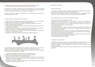 ! Pantallas en ventanas y puertas para evitar la entrada de mosquitos en la vivienda.
! Protección del paciente enfermo (mosquiteros mientras le dure la fiebre).
En epidemias es necesario el control químico del mosquito adulto con el uso de insecticidas
aplicados en forma de nieblas y ULV. Los miembros de la comunidad deben cooperar abriendo
puertas y ventanas para permitir que el insecticida entre a sus hogares.
No existe vacuna para el dengue, en Tailandia hay una en desarrollo pero no estará lista y
probada hasta antes de 10 años.
¿ CÓMO PUEDE LA COMUNIDAD PARTICIPAR ?
! Mejorar la provisión de agua ya que inadecuado suministro obliga a los vecinos a recolectarla.
! Mejorar la recolección de residuos, esto reduce criaderos potenciales.
! Inspeccionar casa por casa buscando criaderos, educando a los miembros de la familia.
! Realizar campañas radiales de educación.
! Llevar a cabo reuniones para informar sobre dengue donde los participantes decidan si es o no
un problema en la comunidad.
! Invitar a líderes y personal de salud a participar en las acciones decididas por la comunidad.
! Conducir investigaciones para saber la magnitud o densidad del mosquito.
! Estimular a los niños en las escuelas para que pueden realizar inspecciones domiciliarias y
enseñar acerca del dengue a los vecinos.
! Publicitar esta actividad, para que pueda ser imitada por localidades próximas.
Las comunidades deben estar preparadas para una epidemia de dengue, planes de acción deben
formularse en conjunto con provincia y nación, priorizando las áreas de mayor riesgo.
Además se deben realizar campañas de limpieza vecinal, con impacto no solo en los mosquitos
sino también en otras plagas urbanas, se sugiere :
! Invitar a la municipalidad a que se comprometa con vehículos y personal.
! Convocar a la comunidad para focalizar la atención en un “día de limpieza”.
! Advertir por radio o por afiches acerca del “día de la limpieza”.
! Estimular para que participen los estudiantes primarios y secundarios, y sus maestros en
campañas de educación a sus padres y vecinos, como así también que busquen y eliminen
criaderos en sus escuelas y alrededores.
! Conseguir otros grupos comunitarios para que se sumen (Rotary, boy-scouts, grupos
adventistas, agricultores, gendarmería, etc. ).
MÉTODOS DE CONTROL:
A- Medidas preventivas:
1. Educación de la población respecto a medidas personales tales como destrucción de criaderos
y protección contra la picadura de mosquitos de actividad humana.
2. Encuestas en la localidad para precisar la densidad de la población de mosquitos vectores,
identificar sus criaderos y fomentar y poner en práctica programas para su eliminación.
B- Control del paciente, de los contactos y del ambiente inmediato:
1. Notificación del caso a la autoridad local de salud.
2. Aislamiento: Precauciones inherentes a la sangre (evitar el acceso de los mosquitos de
actividad diurna a los pacientes hasta que ceda la fiebre, colocando una tela metálica o
mosquitero en la habitación del enfermo, o rociando la vivienda con algún insecticida que sea
activo contra las formas adultas y con poder residual).
3. Cuarentena: Ninguna.
4. Inmunización de contactos: Ninguna. Si el dengue surge cerca de posibles focos selváticos de
fiebre amarilla, habrá que vacunar a la población contra esta última, porque el vector urbano de
las dos enfermedades es el mismo.
5. Investigación de los contactos y fuente de infección: Identificación del lugar de residencia o
viajes del paciente durante los últimos 15 días anteriores al comienzo de la enfermedad y
búsqueda de casos no notificados o no diagnosticados.
6. Inspección entomológica (búsqueda del vector) en la vivienda del paciente y tratamiento
químico adecuado en un radio de 500 metros a la redonda.
7. Tratamiento médico específico: Ninguno.
C- Medidas en caso de epidemia:
1. Búsqueda y destrucción de especies de mosquitos Aedes en las viviendas y eliminación de
criaderos o aplicación de larvicida en todos los posibles sitios de proliferación del mismo.
2. Empleo de repelente contra mosquitos por las personas, que por su ocupación estén
expuestos a la picadura.
3. La fumigación o la dispersión aérea de insecticidas apropiados puede ser útil para interrumpir
epidemias.
 