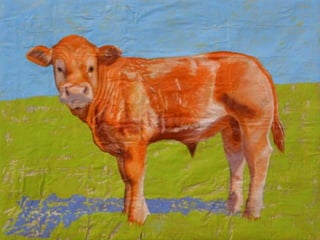 Alumnos de SELAYA CANTABRIA