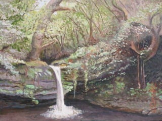 Alumnos de SELAYA CANTABRIA