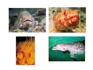 Alumnos grado cuarto