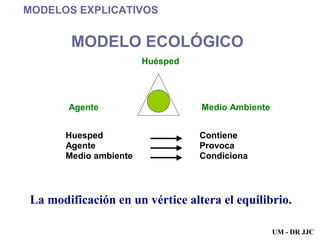 MODELOS EXPLICATIVOS MODELO ECOLÓGICO La modificación en un vértice altera el equilibrio. UM - DR JJC 