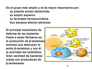 Es el grupo más amplio y el de mayor importancia por:
-  su potente acción bactericida.
-  su amplio espectro
-  su favorable farmacocinética
-  Sus escasos efectos adversos

El principal mecanismo de
defensa de las bacterias
frente a estos fármacos es
la producción de β-lactamasas,
enzimas que destruyen el
anillo β-lactámico y con él
la actividad del antibiótico.
Gran cantidad de bacterias
orales son productoras de
β-lactamasas.
                                            4
 