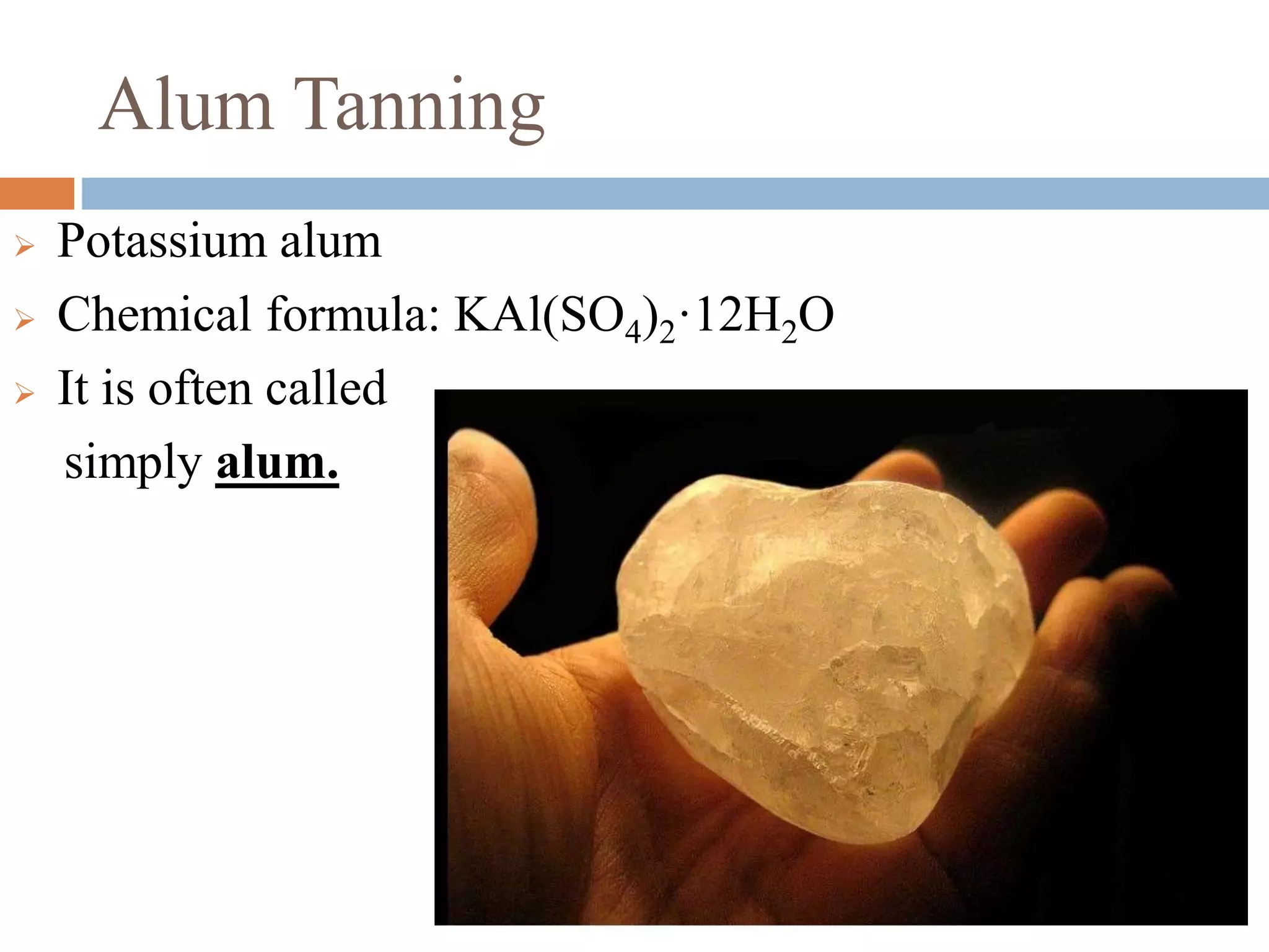 Alum tanning PPT