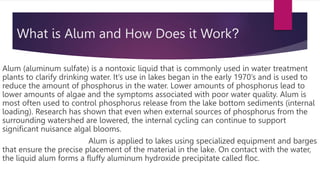 What is Alum and How Does it Work?
Alum (aluminum sulfate) is a nontoxic liquid that is commonly used in water treatment
plants to clarify drinking water. It’s use in lakes began in the early 1970’s and is used to
reduce the amount of phosphorus in the water. Lower amounts of phosphorus lead to
lower amounts of algae and the symptoms associated with poor water quality. Alum is
most often used to control phosphorus release from the lake bottom sediments (internal
loading). Research has shown that even when external sources of phosphorus from the
surrounding watershed are lowered, the internal cycling can continue to support
significant nuisance algal blooms.
Alum is applied to lakes using specialized equipment and barges
that ensure the precise placement of the material in the lake. On contact with the water,
the liquid alum forms a fluffy aluminum hydroxide precipitate called floc.
 