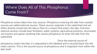 Where Does All of This Phosphorus
Come From?
Phosphorus enters lakes from two sources. Phosphorus entering the lake from outside
sources are called external sources. These sources originate in the watershed and are
either directly rinsed into the lake or flow to a stream that enters the lake. Common
external sources include lawn fertilizers, septic systems, agricultural practices, stormwater,
soil erosion and geese: anything that causes phosphorus to enter the lake from the
watershed.
Once the external source of
phosphorus enters the lake, it is deposited in the lakebed and is recycled back into the
water column. This is the second source of phosphorus and it originates from within the
lake itself.
 