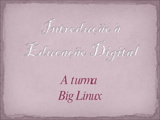 A turma  Big Linux 