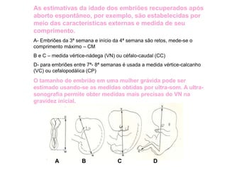 A B DC
As estimativas da idade dos embriões recuperados após
aborto espontâneo, por exemplo, são estabelecidas por
meio das características externas e medida de seu
comprimento.
A- Embriões da 3ª semana e início da 4ª semana são retos, mede-se o
comprimento máximo – CM
B e C – medida vértice-nádega (VN) ou céfalo-caudal (CC)
D- para embriões entre 7ª- 8ª semanas é usada a medida vértice-calcanho
(VC) ou cefalopodálica (CP)
O tamanho do embrião em uma mulher grávida pode ser
estimado usando-se as medidas obtidas por ultra-som. A ultra-
sonografia permite obter medidas mais precisas do VN na
gravidez inicial.
 