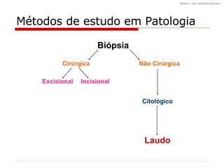 Métodos de estudo em Patologia Biópsia Cirúrgica Não Cirúrgica Citológico Laudo Excisional Incisional 