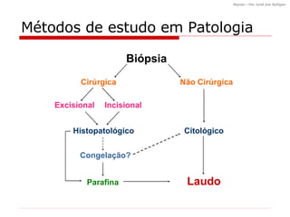 Métodos de estudo em Patologia Biópsia Cirúrgica Não Cirúrgica Citológico Laudo Excisional Incisional Parafina Congelação? Histopatológico 