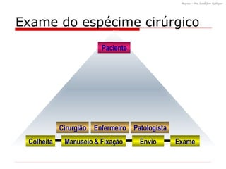 Exame do espécime cirúrgico Cirurgião Enfermeiro Patologista Paciente Colheita Envio Exame Manuseio & Fixação 