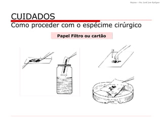 CUIDADOS Como proceder com o espécime cirúrgico Papel Filtro ou cartão 