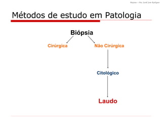 Métodos de estudo em Patologia Biópsia Cirúrgica Não Cirúrgica Citológico Laudo 