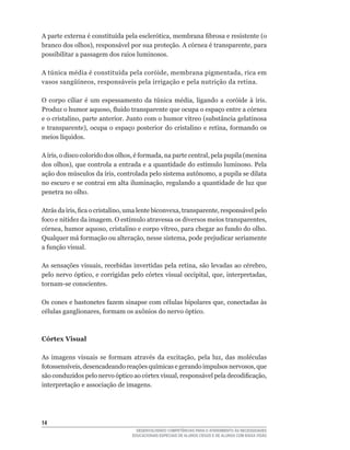 A	parte	externa	é	constituída	pela	esclerótica,	membrana	fibrosa	e	resistente	(o	
branco	dos	olhos),	responsável	por	sua	proteção.	A	córnea	é	transparente,	para	
possibilitar a passagem dos raios luminosos.

A	túnica	média	é	constituída	pela	coróide,	membrana	pigmentada,	rica	em	
vasos	sangüíneos,	responsáveis	pela	irrigação	e	pela	nutrição	da	retina.

O	 corpo	 ciliar	 é	 um	 espessamento	 da	 túnica	 média,	 ligando	 a	 coróide	 à	 íris.	
Produz	o	humor	aquoso,	fluido	transparente	que	ocupa	o	espaço	entre	a	córnea	
e	o	cristalino,	parte	anterior.	Junto	com	o	humor	vítreo	(substância	gelatinosa	
e	 transparente),	 ocupa	 o	 espaço	 posterior	 do	 cristalino	 e	 retina,	 formando	 os	
meios	líquidos.

A	íris,	o	disco	colorido	dos	olhos,	é	formada,	na	parte	central,	pela	pupila	(menina	
dos	olhos),	que	controla	a	entrada	e	a	quantidade	do	estímulo	luminoso.	Pela	
ação	dos	músculos	da	íris,	controlada	pelo	sistema	autônomo,	a	pupila	se	dilata	
no	escuro	e	se	contrai	em	alta	iluminação,	regulando	a	quantidade	de	luz	que	
penetra no olho.

Atrás	da	íris,	fica	o	cristalino,	uma	lente	biconvexa,	transparente,	responsável	pelo	
foco	e	nitidez	da	imagem.	O	estímulo	atravessa	os	diversos	meios	transparentes,	
córnea,	humor	aquoso,	cristalino	e	corpo	vítreo,	para	chegar	ao	fundo	do	olho.	
Qualquer	má	formação	ou	alteração,	nesse	sistema,	pode	prejudicar	seriamente	
a	função	visual.

As	sensações	visuais,	recebidas	invertidas	pela	retina,	são	levadas	ao	cérebro,	
pelo	nervo	óptico,	e	corrigidas	pelo	córtex	visual	occipital,	que,	interpretadas,	
tornam-se	conscientes.

Os	cones	e	bastonetes	fazem	sinapse	com	células	bipolares	que,	conectadas	às	
células	ganglionares,	formam	os	axônios	do	nervo	óptico.	



Córtex Visual

As	 imagens	 visuais	 se	 formam	 através	 da	 excitação,	 pela	 luz,	 das	 moléculas	
fotossensíveis,	desencadeando	reações	químicas	e	gerando	impulsos	nervosos,	que	
são	conduzidos	pelo	nervo	óptico	ao	córtex	visual,	responsável	pela	decodificação,	
interpretação e associação de imagens.




14
                                     DESENVOLVENDO COMPETÊNCIAS PARA O ATENDIMENTO ÀS NECESSIDADES
                                   EDUCACIONAIS ESPECIAIS DE ALUNOS CEGOS E DE ALUNOS COM BAIXA VISÃO
 