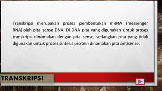 Transkripsi merupakan proses pembentukan mRNA (messenger
RNA) oleh pita sense DNA. Di DNA pita yang digunakan untuk proses
transkripsi dinamakan dengan pita sense, sedangkan pita yang tidak
digunakan untuk proses sintesis protein dinamakan pita antisense.
 