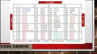 2nd
base
3rd
base
1st
base
 