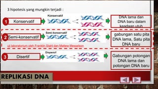 3 hipotesis yang mungkin terjadi :
Disertif3
Konservatif1
DNA lama dan
DNA baru dalam
keadaan utuh
gabungan satu pita
DNA lama, Satu pita
DNA baru
Gabungan potongan
DNA lama dan
potongan DNA baru
uji laboratorium oleh Franklin Stahl dan Mattew Messelson
Semi-konservatif2
 