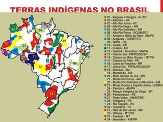TERRAS INDÍGENAS NO BRASIL

 
