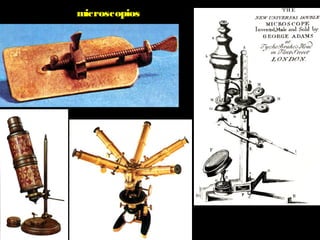 microscopios
 