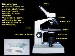 Microscopio
Un sistema formado por
oculares e obxetivos con
lentes que poden
conseguir ata 2.000
aumentos.
Os obxectos a observar
colócanse sobre uns
vidros especiais (porta e
cubreobxectos).
obxectivos
ocular
platina
fonte de luz
revólver
diafragmaparafusos de enfoque
brazo
 