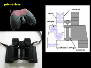 prismáticos
obxectivos
oculares
parafusos de enfoque
lentes
prismas
 