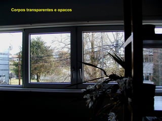 Corpos transparentes e opacos
 