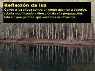 Reflexión da luz
Cando a luz choca contra un corpo que non a absorbe,
rebota modificando a dirección da súa propagación.
Isto é o que permite que vexamos os obxectos.
 