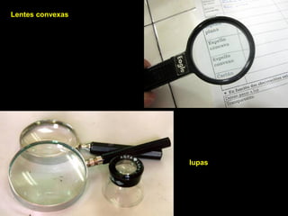 Lentes convexas
lupas
 