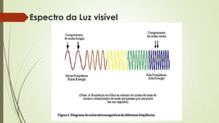 Espectro da Luz visível 
 