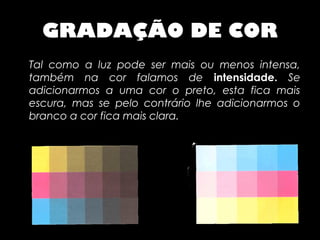 GRADAÇÃO DE COR
Tal como a luz pode ser mais ou menos intensa,
também na cor falamos de intensidade. Se
adicionarmos a uma cor o preto, esta fica mais
escura, mas se pelo contrário lhe adicionarmos o
branco a cor fica mais clara.
 