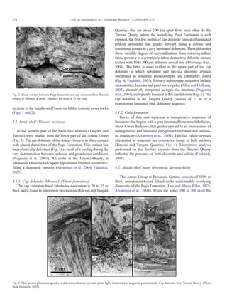 Alvarenga et al. 2008 | PDF