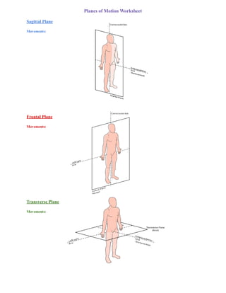 Planes of Motion Worksheet
Sagittal Plane
Movements:
Frontal Plane
Movements:
Transverse Plane
Movements:
 