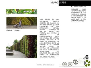 ALVAREZ 3701-0850|2016| 110
EL MURO VERDE ES
COLOCADO COMO
MEDIDA DE SEGURIDAD
DELIMITANDO A LOS
PEATONES Y CICLISTAS
EL CONTACTO CON LAS
VÍAS DEL TREN. ES UN
MURO BAJO Y CON
AVENTANAMIENTOS.-
o6
MURO VERDE
ESTA MISMA ES UNA
INSTALACIÓN VERTICAL
CUBIERTA DE PLANTAS DE
DIVERSAS ESPECIES QUE SON
CULTIVADAS EN UNA
ESTRUCTURA ESPECIAL
DANDO LA APARIENCIA DE
SER UN JARDÍN PERO
VERTICAL, LAS PLANTAS SE
ENRAÍZAN EN
COMPARTIMIENTOS ENTRE
DOS LAMINAS DE MATERIAL
FIBROSO ANCLADO A LA
PARED. EL SUMINISTRO DE
AGUA SE PROVEE ENTRE LAS
LAMINAS Y SE CULTIVAN
MUCHAS ESPECIES DE
PLANTAS. LAS BACTERIAS EN
LAS RAÍCES DE LAS PLANTAS
METABOLIZAN LAS
IMPUREZAS DEL AIRE TALES
COMO LOS COMPUESTOS
ORGÁNICOS VOLÁTILES.
MURO VERDE
 