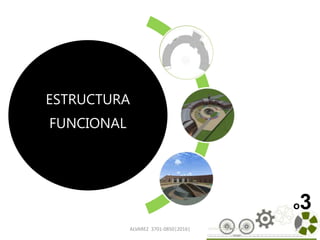ESTRUCTURA
FUNCIONAL
ALVAREZ 3701-0850|2016| 25
o3
 