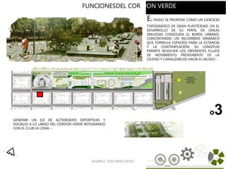 ALVAREZ 3701-0850|2016| 28
o3
FUNCIONESDEL COR DON VERDE
EL PASEO SE PROPONE COMO UN EJERCICIO
TOPOGRÁFICO DE GRAN PLASTICIDAD. EN EL
DESARROLLO DE SU PERFIL DE LÍNEAS
SINUOSAS CONSOLIDA EL BORDE URBANO,
CONCERTANDO UN RECORRIDO DINÁMICO
QUE FORMULA ESPACIOS PARA LA ESTANCIA
Y LA CONTEMPLACIÓN, SU LONGITUD
PERMITE RESOLVER LOS DIFERENTES FLUJOS
DE MOVIMIENTO PROVENIENTE DE LA
CIUDAD Y CANALIZARLOS HACIA EL MUSEO.-
GENERAR UN EJE DE ACTIVIDADES DEPORTIVAS Y
SOCIALES A LO LARGO DEL CORDON VERDE INTEGRANDO
CON EL CLUB LA LOMA .-
 