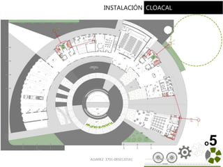 ALVAREZ 3701-0850|2016| 97
o5
INSTALACIONINSTALACIÓN CLOACAL
 
