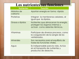 Los nutrientes sus funciones
        Nutrientes             Función
Hidratos de          Aportan energía en forma rápida
carbono
Proteínas            Integran la membranas celulares, al
                     igual que los lípidos.
Grasas o lípidos     Nutrientes que almacenan la energía,
                     protegen los órganos internos y
                     actúan como aislantes térmicos.

Vitaminas            Participan de diversos procesos, como
                     la coagulación de la sangre de los
                     vertebrados.
Minerales            Son necesarios para el equilibrio de
                     todas las funciones vitales.
Agua                 Es indispensable para la vida. Actúa
                     en el transporte de nutrientes y
                     productos de desecho.
 