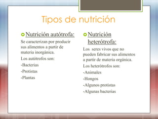 Tipos de nutrición
 Nutrición     autótrofa:      Nutrición
Se caracterizan por producir     heterótrofa:
sus alimentos a partir de      Los seres vivos que no
materia inorgánica.            pueden fabricar sus alimentos
Los autótrofos son:            a partir de materia orgánica.
-Bacterias                     Los heterótrofos son:
-Protistas                     -Animales
-Plantas                       -Hongos
                               -Algunos protistas
                               -Algunas bacterias
 