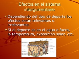 Efectos en el sistema intergumentario Dependiendo del tipo de deporte los efectos serán relevantes o irrelevantes. Si el deporte es en el agua o fuera, la temperatura, exposición solar, etc. 